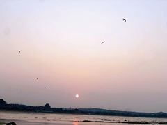 -蓬莱阁景区