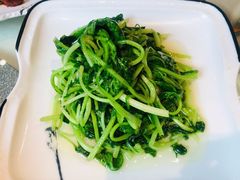 清炒鸡毛菜-19号私房菜(云南路店)