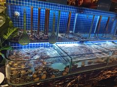 -芭菲盛宴·环球美食(袁家岗店)