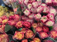 -循礼门鲜花花市(武汉循礼门店)