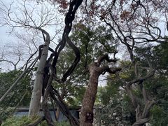 -绮园景区