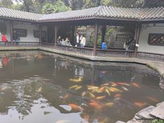 -廖老妈蹄花店(人民公园陕西街259号店)