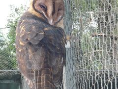 -费瑟代尔野生动物园