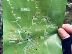 -云南屏边大围山国家公园