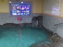 -汤泉良子.足疗按摩.SPA(中关村店)