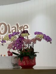 -杭州奥拉克医疗美容门诊部