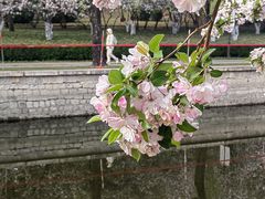 -海棠花溪(元大都城垣遗址公园)