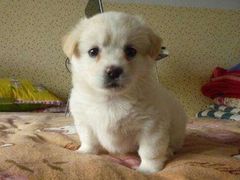 -南京邮电大学-第2食堂