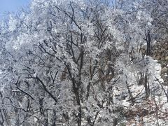 -紫金山索道-售票处