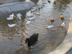 -珠海海泉湾神秘岛亲子乐园