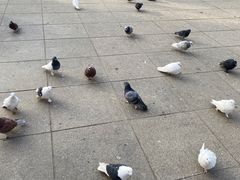 -新疆天山野生动物园