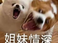 -多乐之日(五道口店)