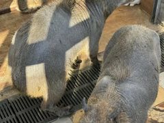 -昆明动物园