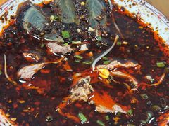 -苗侗地道红酸.酸汤鱼·酸汤牛肉