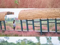 -白鹭湾湿地公园