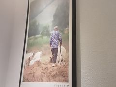 -刀板香·安徽菜(国购IFC店)