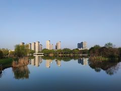 -九里河湿地公园