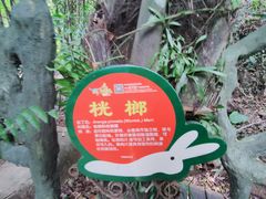 -呀诺达热带雨林