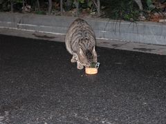 -煲仔皇腊味煲仔饭(上海光启城店)