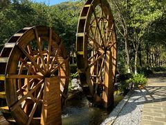 -广州白江湖森林公园