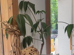 -COTTON CAFE(德信·中外公寓店)