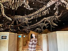 -世界恐龙谷景区