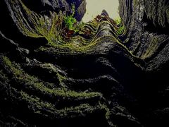 -梭布垭石林景区