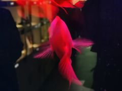 -宫七SPA·高端Massage(浦东大道店)