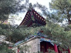 -文庙