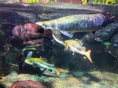 -太平洋海底世界