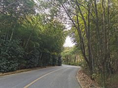 -穹窿山景区