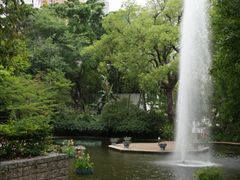 -九龙公园