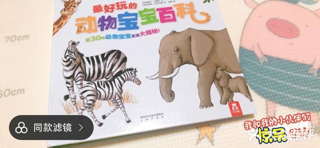 有趣的动物百科