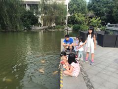 -梁鸿湿地丽笙度假酒店大堂吧