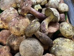 -三锅莊·牦牛肉火锅·香格里拉特色藏餐宴请餐厅(菱角塘路店)