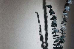 -JU·旧友日式美甲美睫工作室