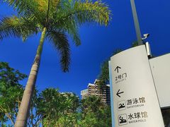 -汕头市游泳跳水馆