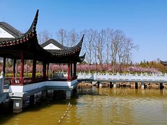 -上海海湾国家森林公园