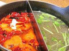 -盡膳口福跷脚牛肉火锅(合生汇购物中心店)