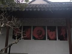 -秋霞圃