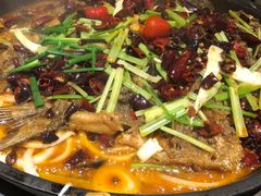 -老板恋上鱼(恒隆广场店)