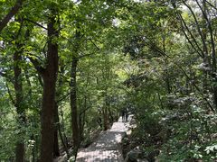 -头陀岭景区
