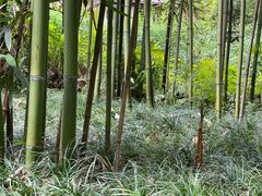 -成都杜甫草堂博物馆