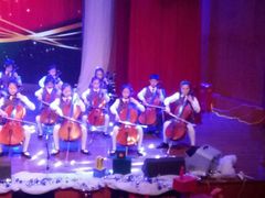 -协和双语学校(虹桥校区)