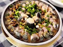 白鳝-钱大妈海鲜饭店(保利林语店)