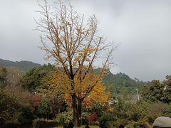 -径山寺