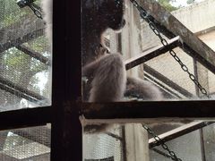 -昆明动物园