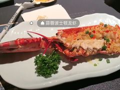 -雍容荟活波龙自助餐(IFS黑金店)