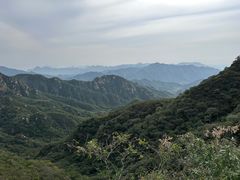 -大岭沟猕猴桃谷风景区