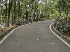 -大屏嶂森林公园